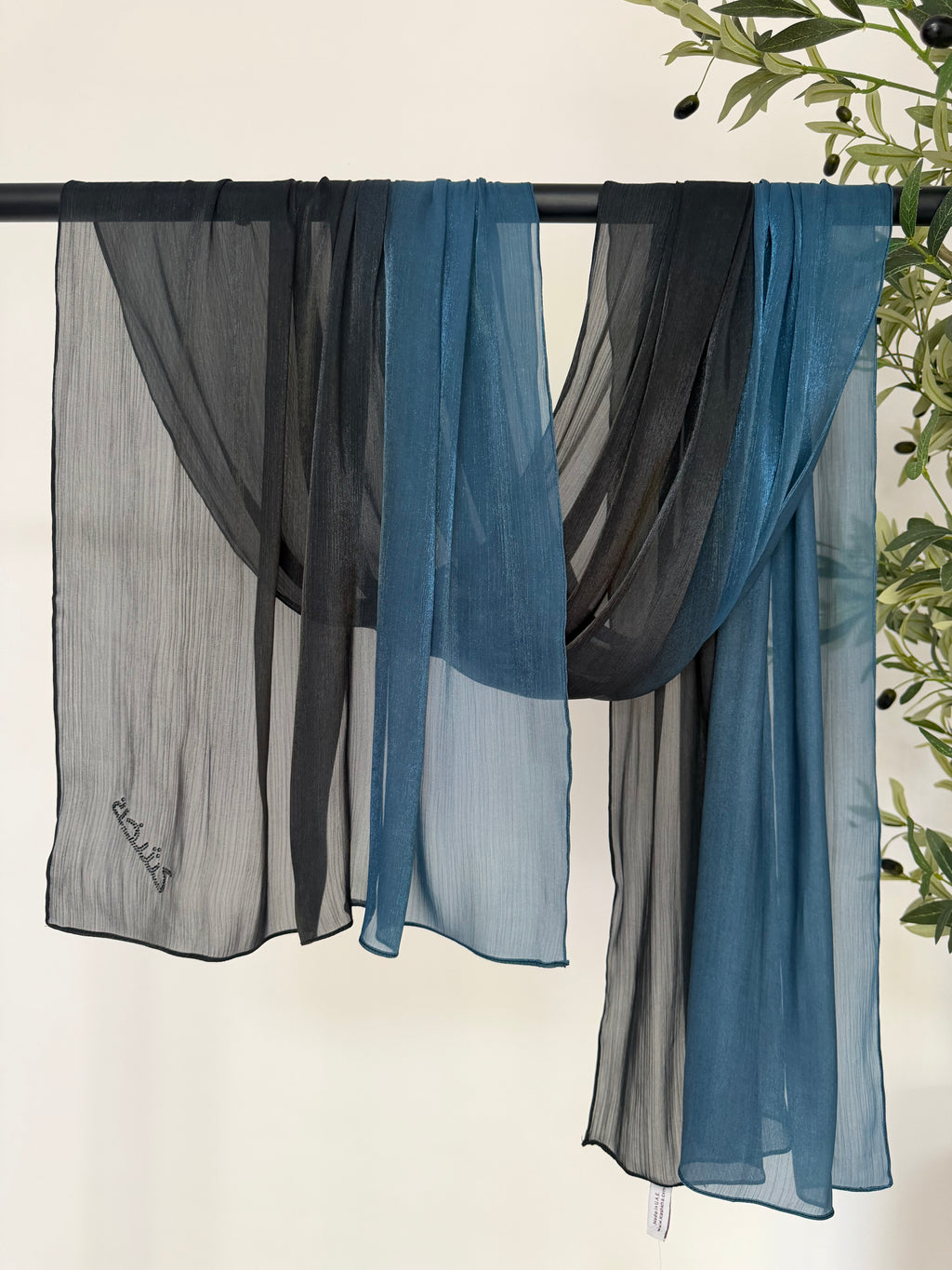 Ombre Organza