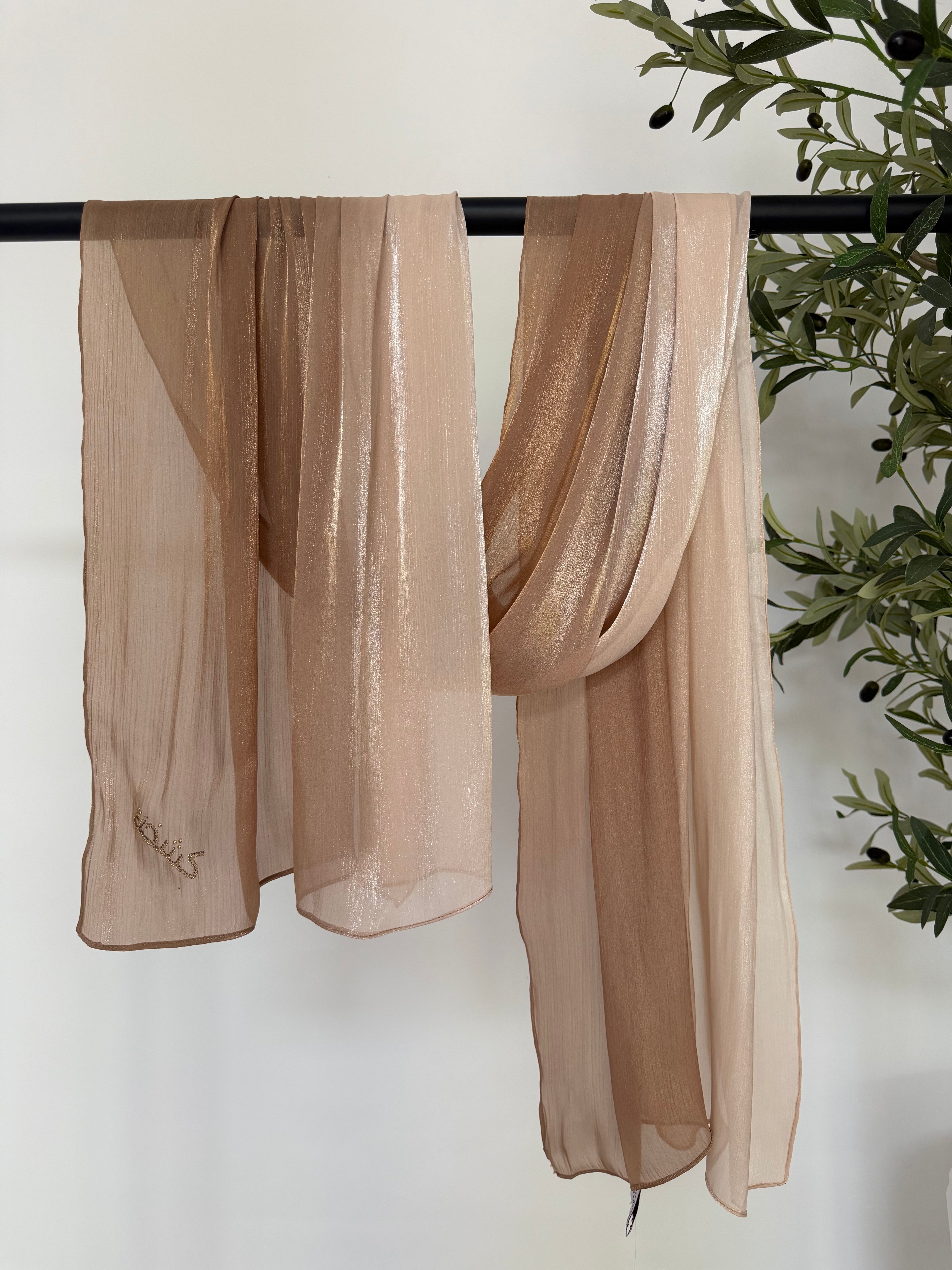 Ombre Organza